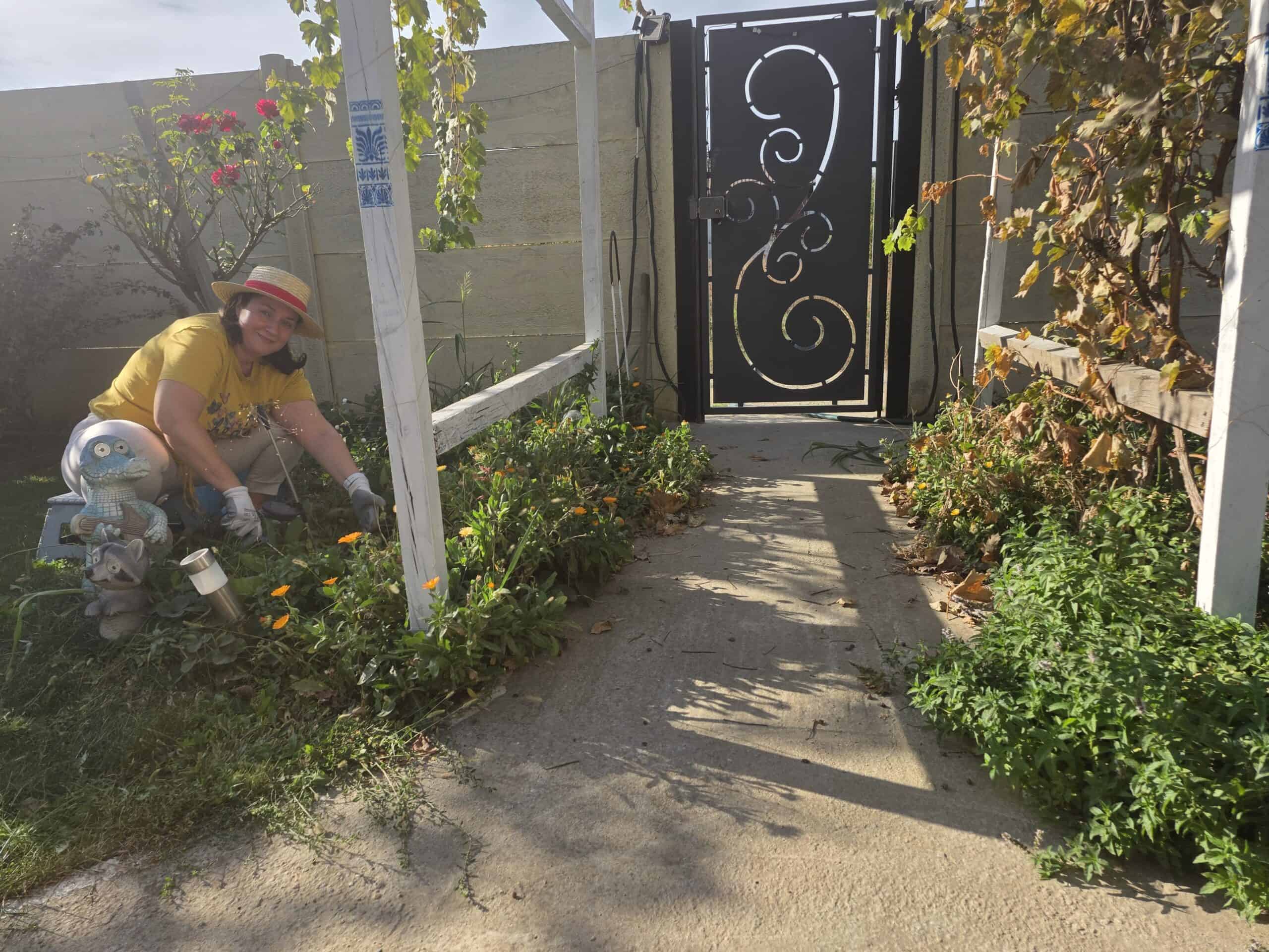 Zona cu mentă, aleea și plantele din grădina Silviei Ecobici.